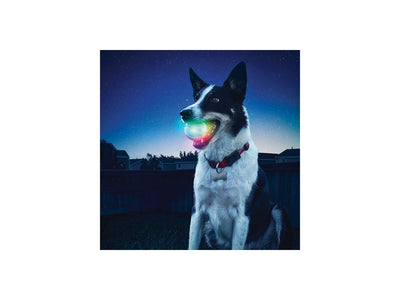 Niteize Glowstreak Led Ball Disc-O Multicolor GSB-07-R7 - foto 2