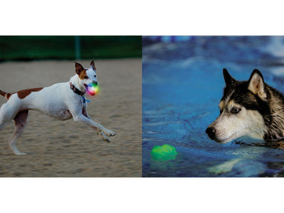 Niteize Glowstreak Wild Led Ball Disc-O Multicolor GSBW-07-R8 - foto 2