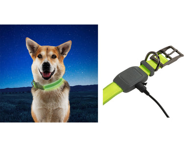 Niteize Nitedog Rechargeable Led Collar Large Lime NDCRL-17-R3 - foto 2