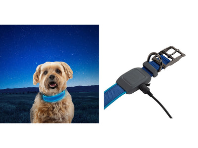 Niteize Nitedog Rechargeable Led Collar Small Blue NDCRS-03-R3 - foto 2