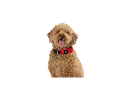 Niteize Raddog All-In-One Collar+Leash Medium Red RRLM-10-R3 - foto 2