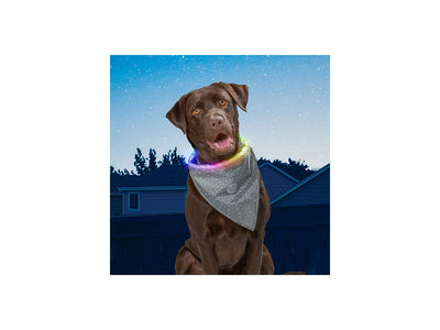 Niteize Nitehowl Bandana Rechargeable Led Safety Necklace Grey NHOR-B0907S-R8 - foto 2