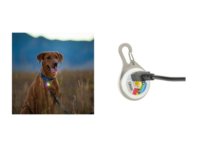 Niteize Spotlit Rechargeable Collar Light Jewel PSLGSRJ-07S-R6 - foto 2