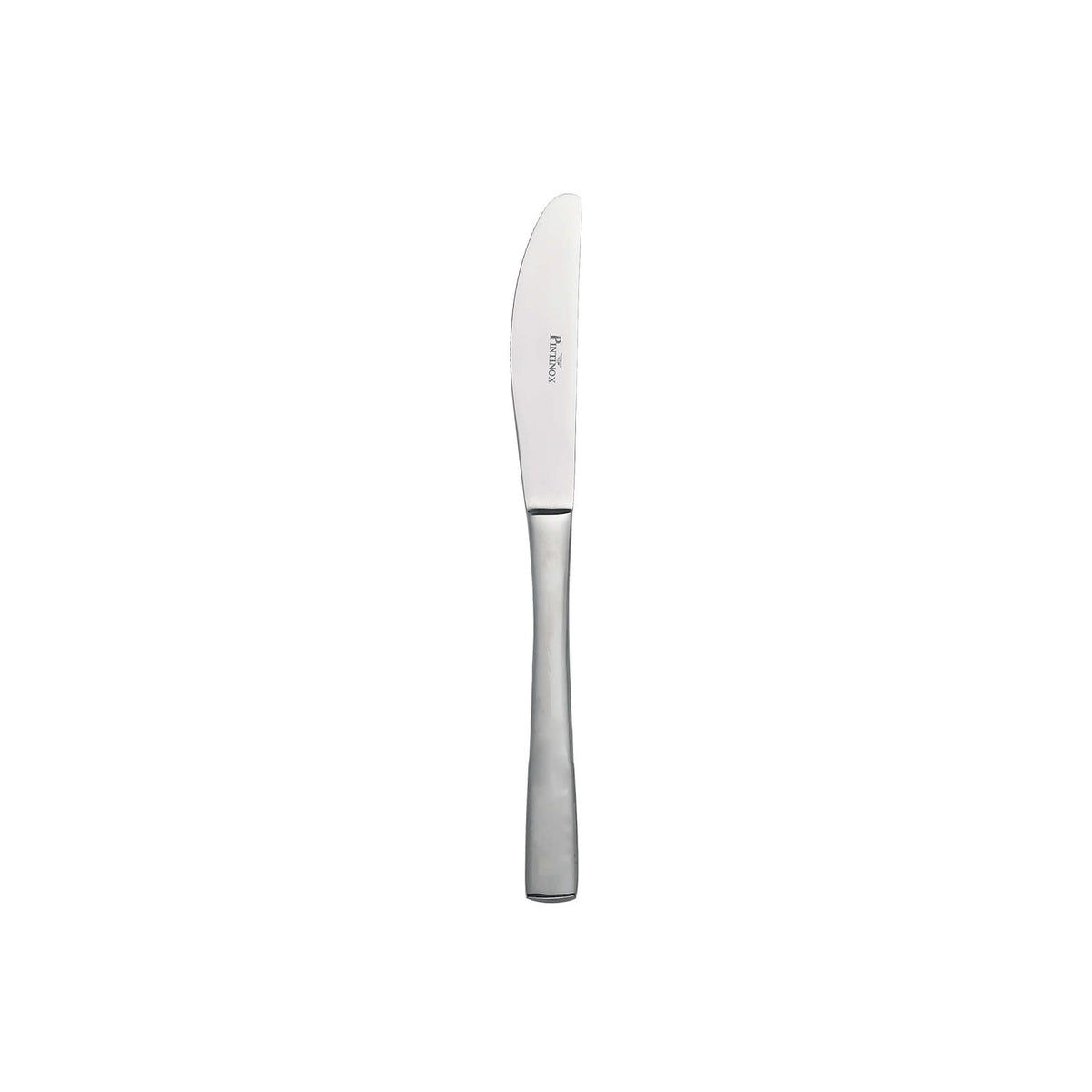 Pinti Gamma Coltello da Tavola Manico Pieno Acciaio Inox 18/10 12 Pezzi