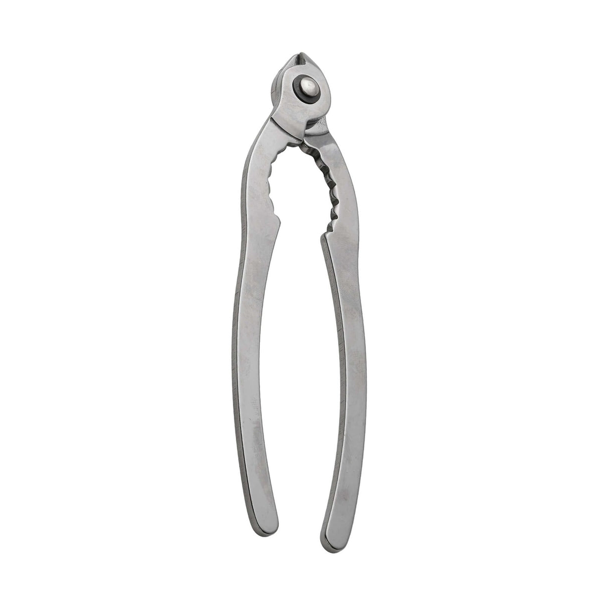 Apribottiglia Champagne in Acciaio Inox 1 Pezzo