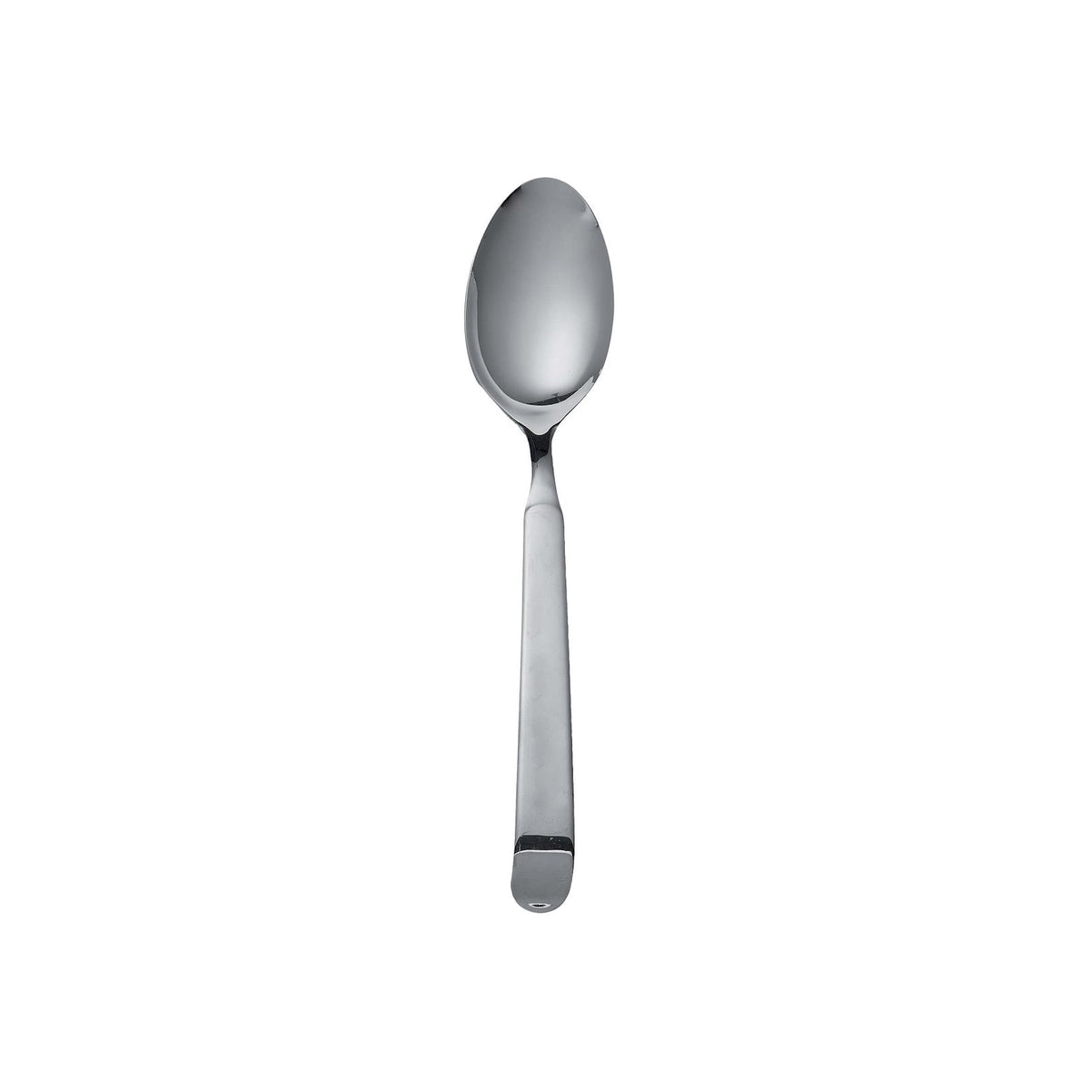 Pinti Astra Cucchiaione da Servire Multiuso Acciaio Inox 18/10 24 cm