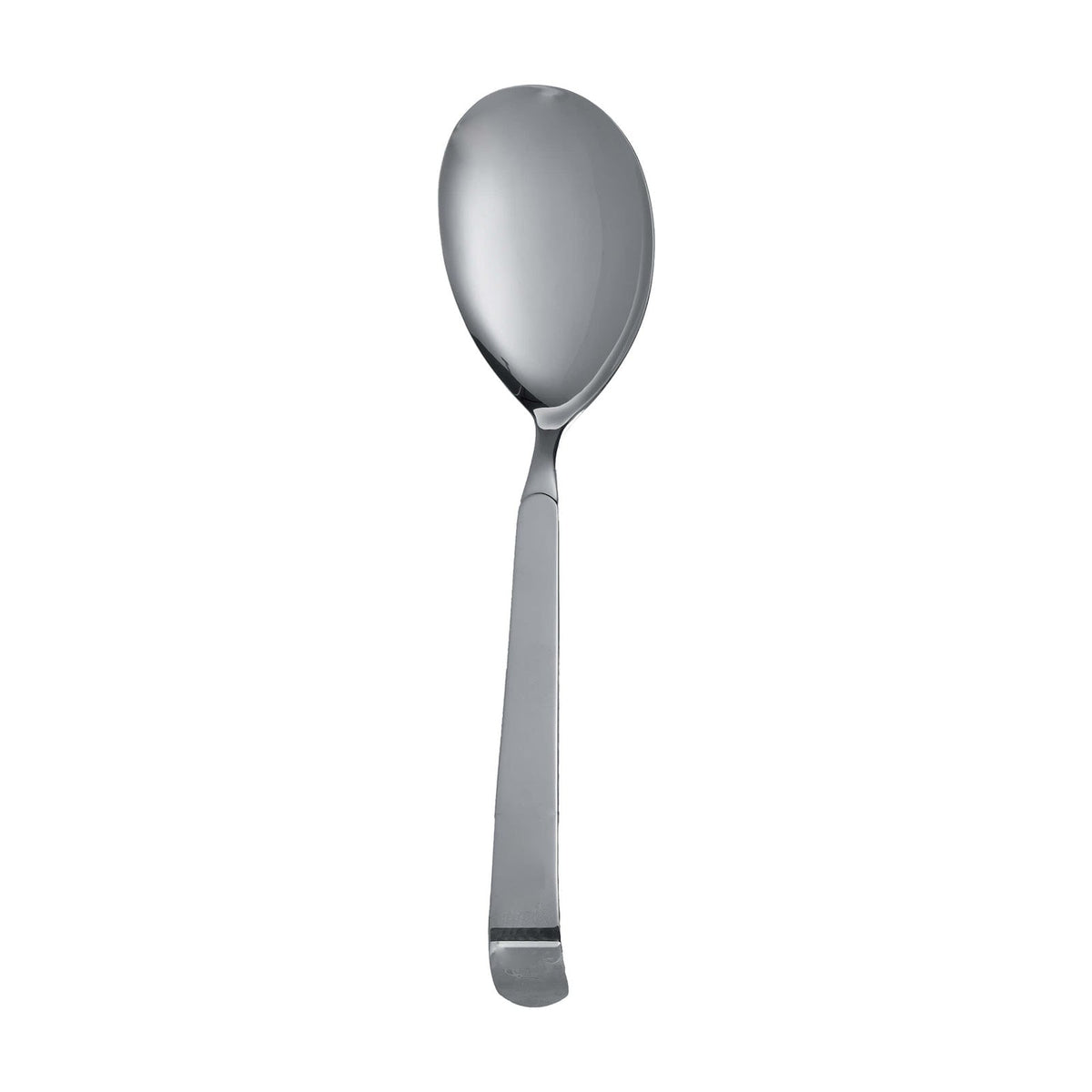 Pinti Astra Cucchiaione da Servire Multiuso Acciaio Inox 18/10 30 cm