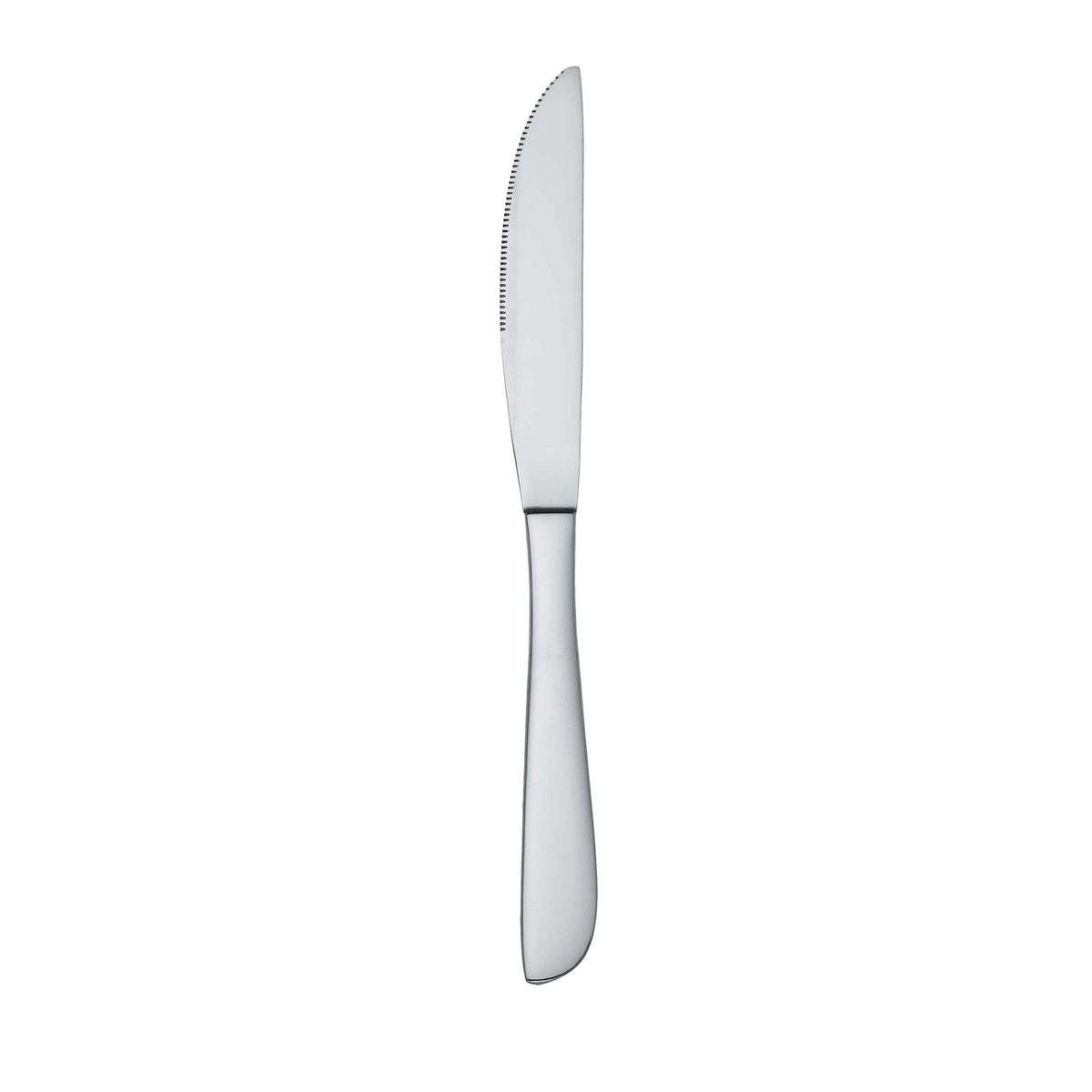 Abert Coltello Pizza in Acciaio Inox 12 Pezzi