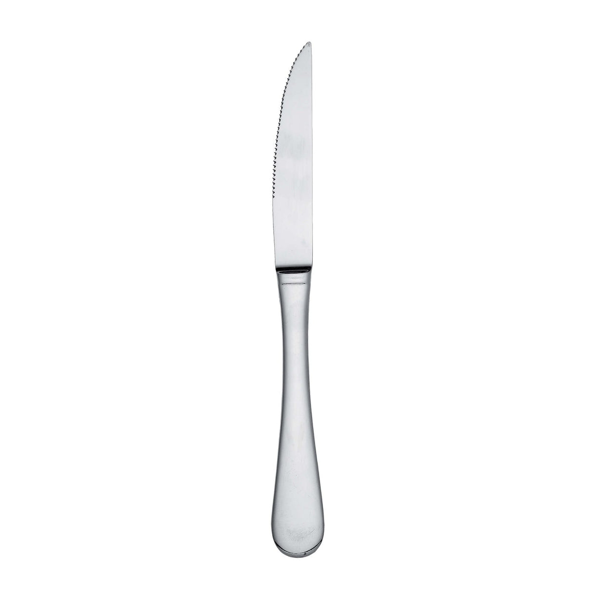 Pinti Coltello da Bistecca Inox 12 Pezzi