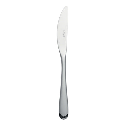 Pinti Swing Coltello da Tavola Manico Pieno in Acciaio Inox 18/10 12 Pezzi