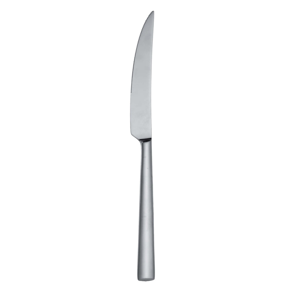 Salvinelli 250 Coltello Tavola Manico Pieno Inox 18/10 12 Pezzi