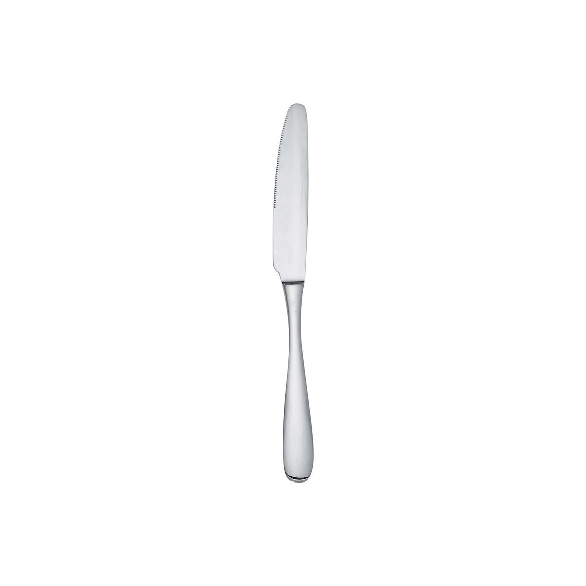 Salvinelli Grand Hotel Coltello da Frutta Manico Vuoto Inox 18/10 12 Pezzi