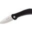 Buck Paradigm Black G-10 590Bks