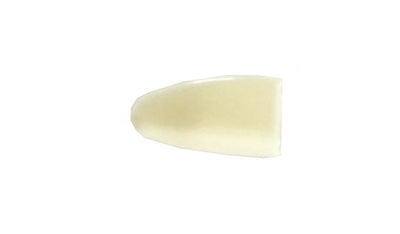 Camel Copripunte In Plastica X Tronchesi Unghie