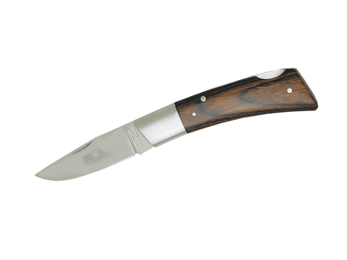 Camel Folding Elegant Ii
