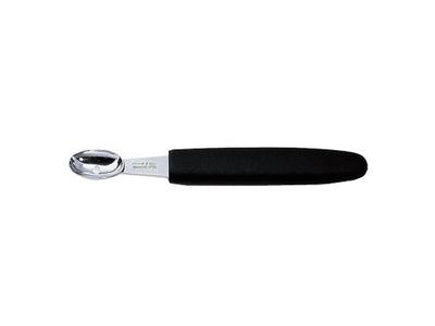 Dick Scavino Ovale 17 X 28 Mm 9109500
