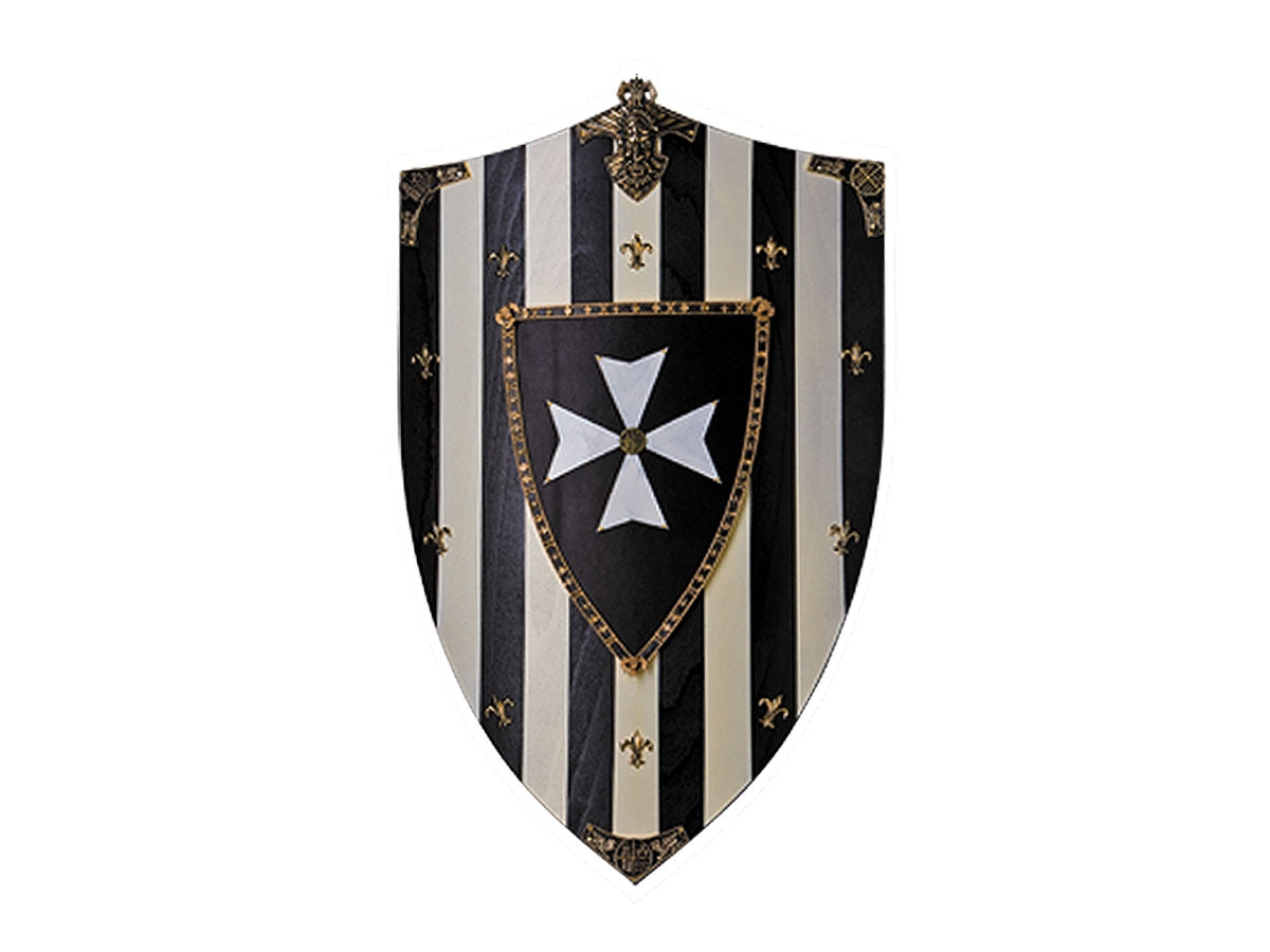 Gladius Scudo legno Hospital