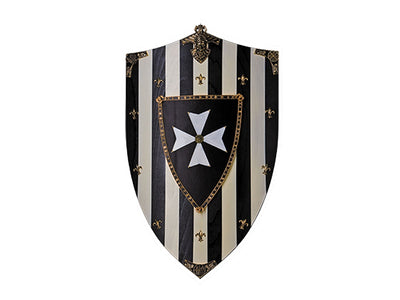Gladius Scudo legno Hospital