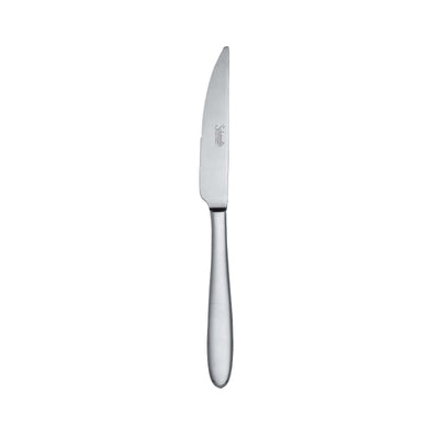 Salvinelli Fast Coltello da Tavola e Bistecca Forgiato Manico Pieno Inox 18/10 12 Pezzi