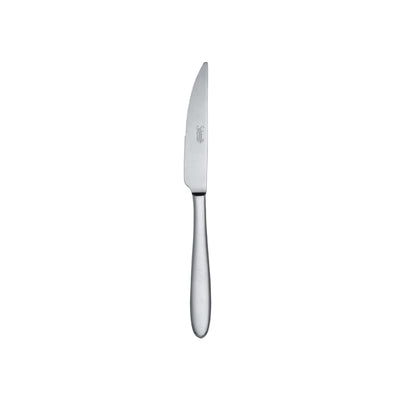 Salvinelli Fast Coltello da Frutta Manico Pieno in Acciaio Inox 18/10 12 Pezzi