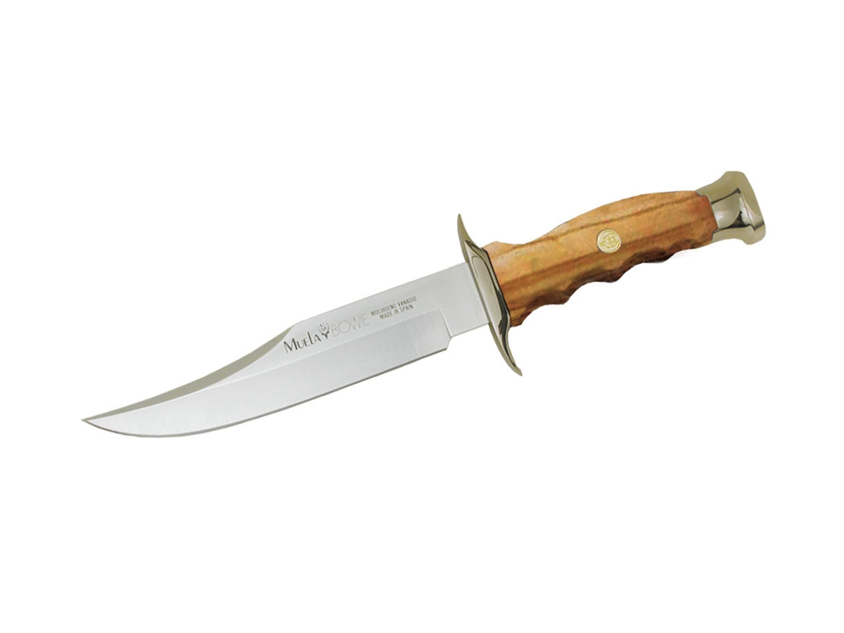 Muela Bowie Olive BW-16.O
