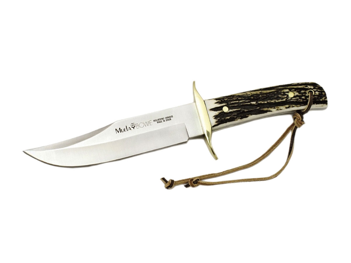 Muela Bowie Stag BW-CLASIC-16A