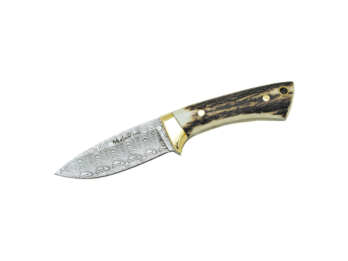 Muela Colibri' Stag Damascus Inox 7Dam