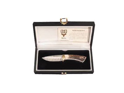 Muela Colibri' Stag Damascus Inox 7Dam - foto 2