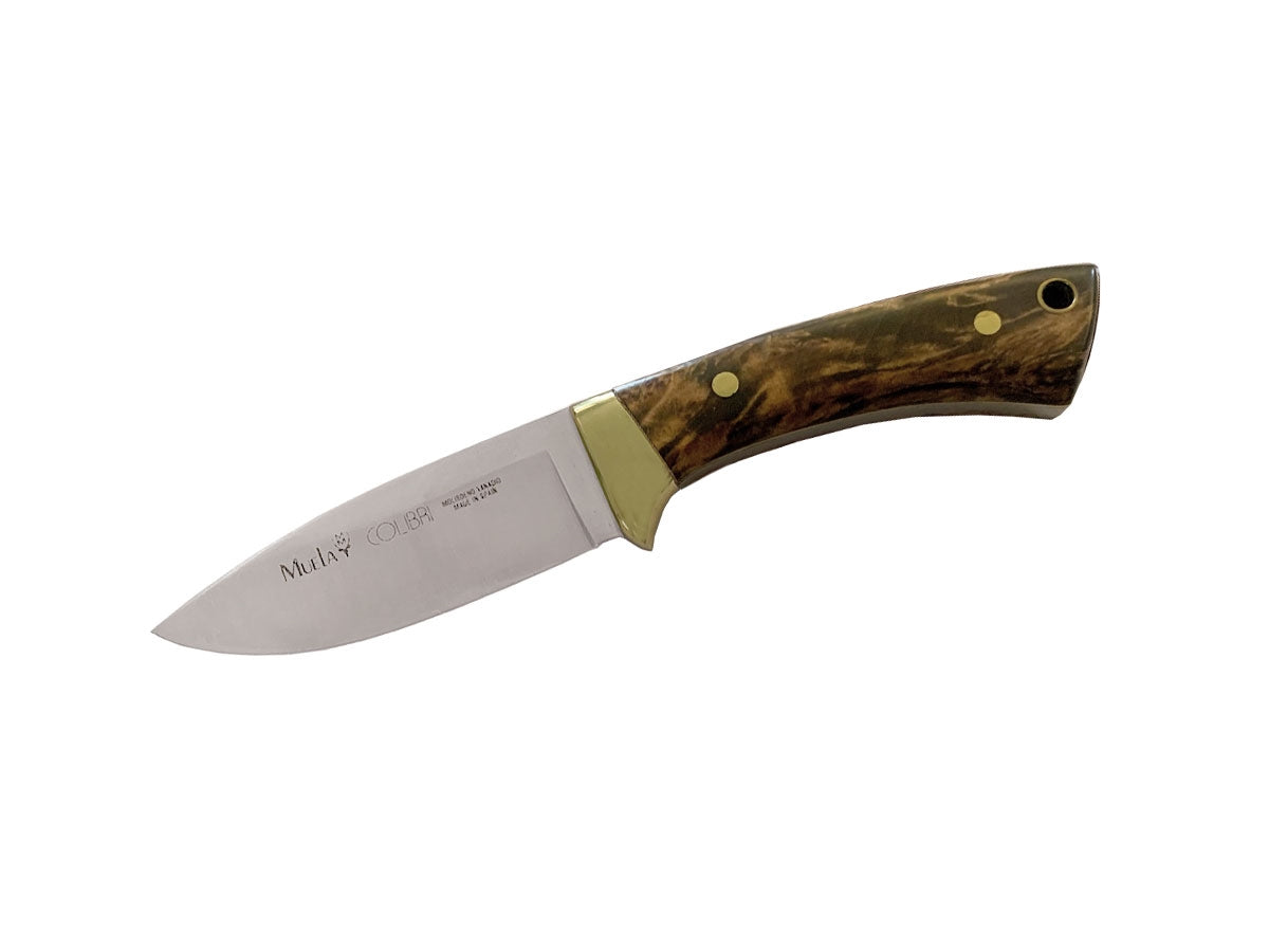 Muela Colibri' Wood 7-Th