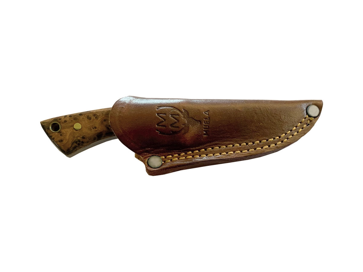 Muela Colibri' Wood 7-Th - foto 2