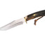 Muela Pointer Stag 13A
