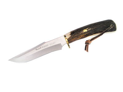 Muela Pointer Stag 13A
