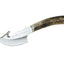 Muela Raccoon Stag 8A