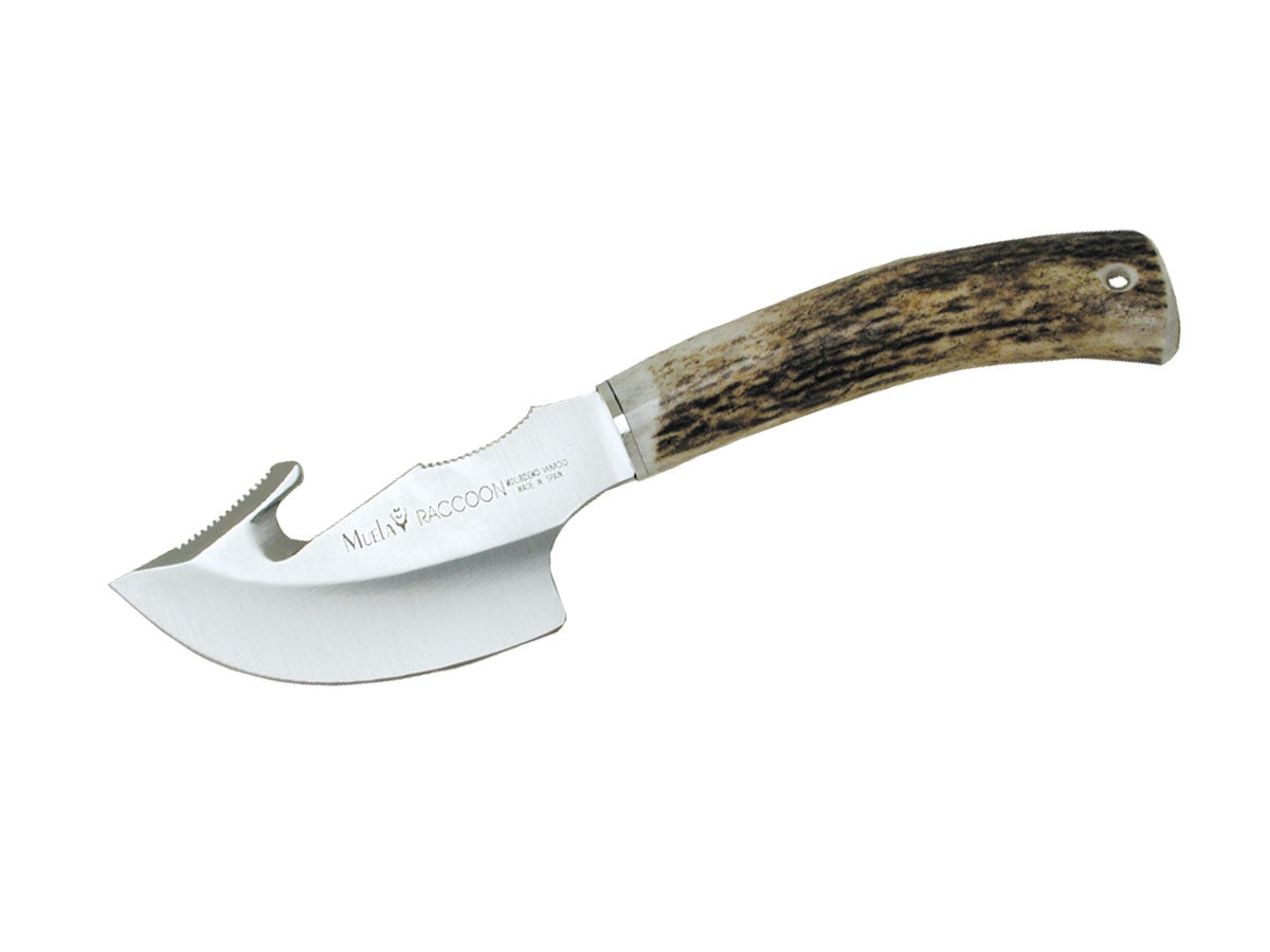 Muela Raccoon Stag 8A