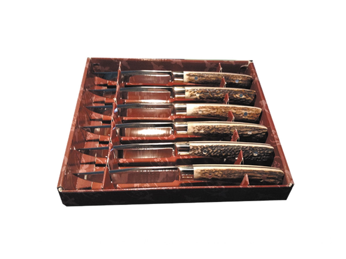 Muela Set Bistecca 6 Pz Stag J-MA-10A - foto 2