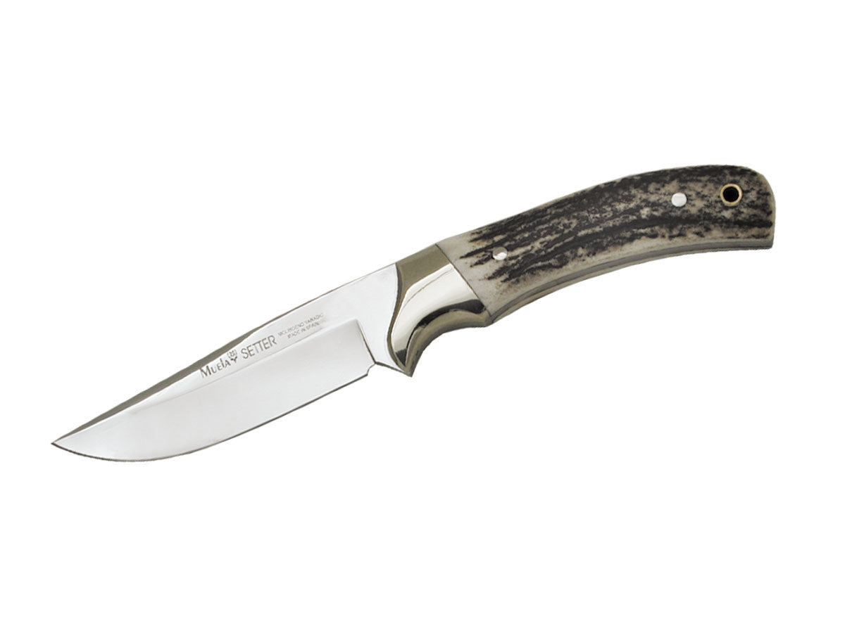 Muela Setter Stag 11A