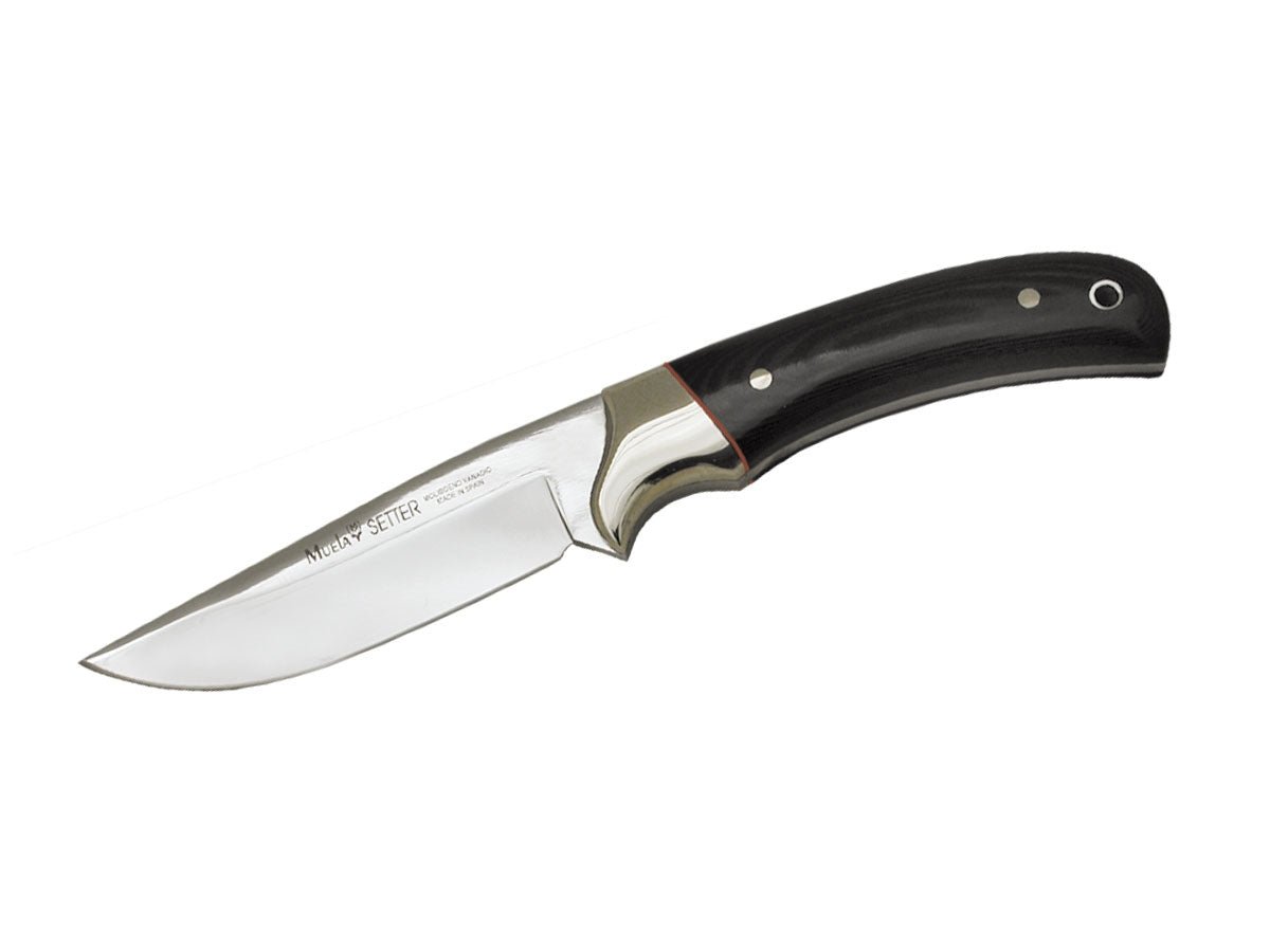 Muela Setter Wood 11M