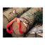 Nordic Pocket Saw Original rosso - dettaglio manici nylon e catena