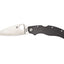 Spyderco Caly 3.5 Carbon Fiber ZDP189 Plain C144CFPE