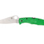 Spyderco Pacific Salt 2 C91FPGR2 lama LC200N flat grind ultra anticorrosione, manico FRN verde, hardware nero