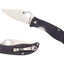 Spyderco Polestar C220GPGY Liner Lock, tagliente completo, Made in USA