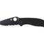 Spyderco Tenacious C122GBBKPS lama combo 8Cr13MoV con rivestimento nero, manico G-10