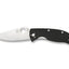 Spyderco Tenacious C122GP lama 8Cr13MoV 8,6 cm, manico G-10 nero, totale 19,7 cm