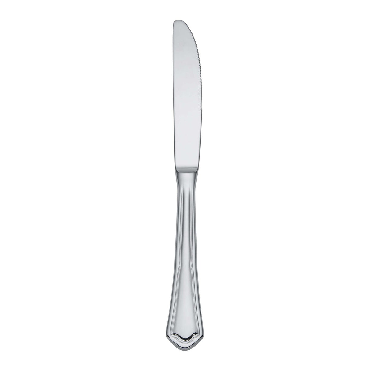 Salvinelli Sire Coltello da Tavola Manico Pieno Acciaio Inox 18/10 12 Pezzi