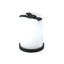 Wildo SHAKER Black - dettaglio 3 scomparti sale, pepe e zucchero 5,9x4,5 cm