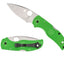 Spyderco Native 5 Salt C41PGR5 lama LC200N piatta FRN verde Back Lock - dettaglio lama