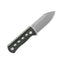 Qsp Canary Micarta Stw QS141-C1 Green - foto 2