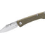 Buck Saunter Clip Od Green Micarta 250GRS1