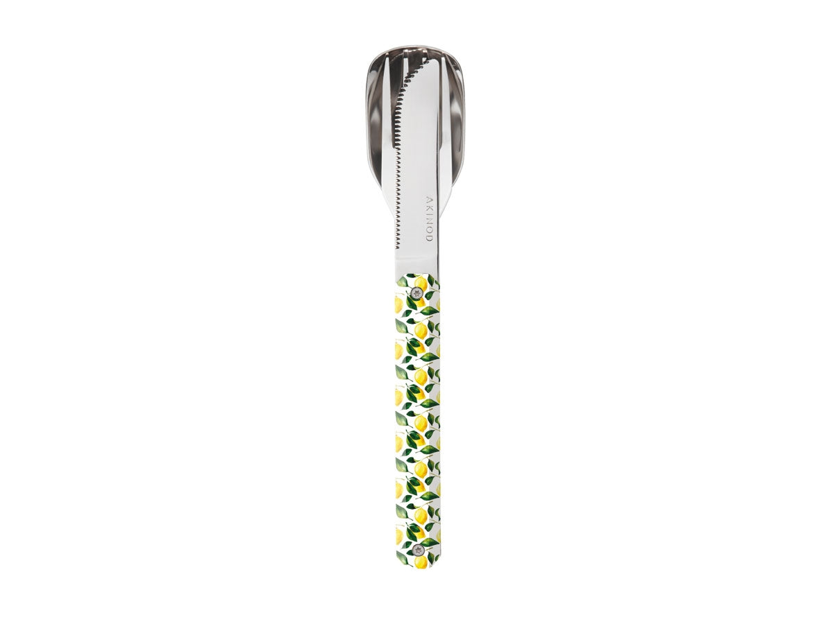 Akinod Magnetic Straight Cutlery 12H34 Mirror Citrons