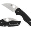 Spyderco Lil' Native C230GPWC dettaglio profilo Wharncliffe CPM S30V dorso dritto e guancette G-10